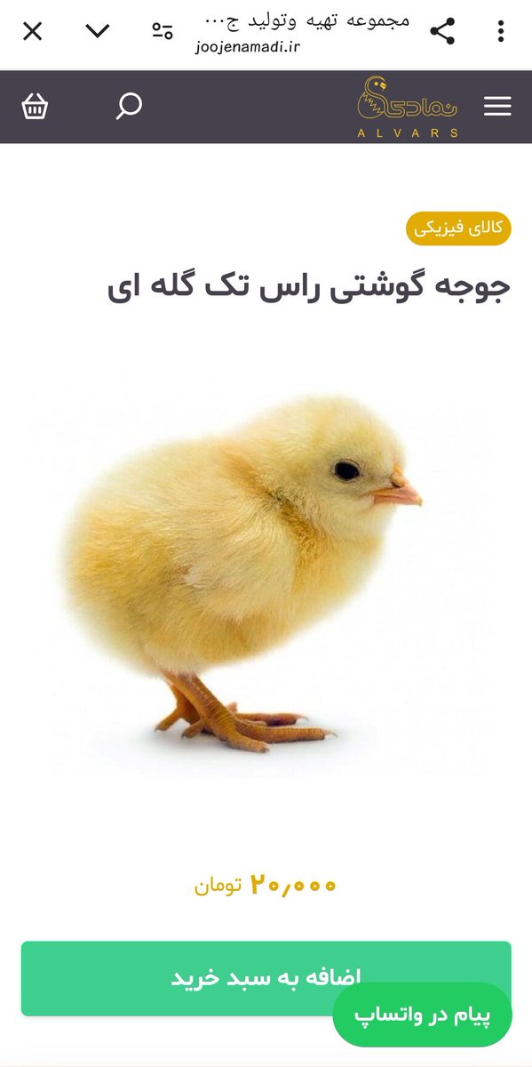 Sazito | سازیتو tweet media