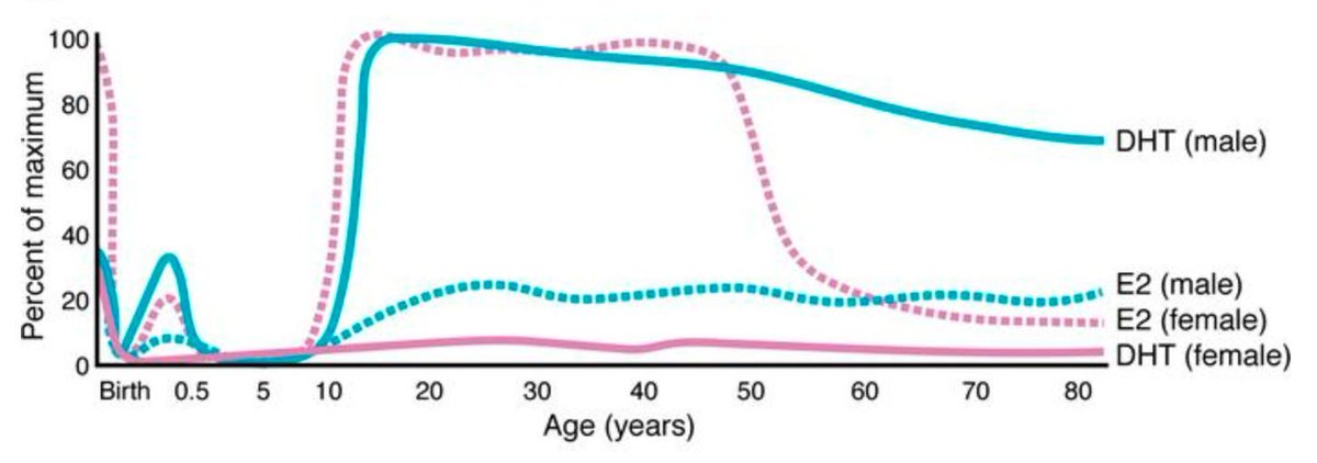 #Review: Hearts apart: sex differences in cardiac remodeling in health and disease: buff.ly/3xFG6nY 

part of #ReviewSeries: buff.ly/3RQrcBX 

<a href="/CUBoulderMCDB/">MCDB at CU Boulder💉😷🧬</a>