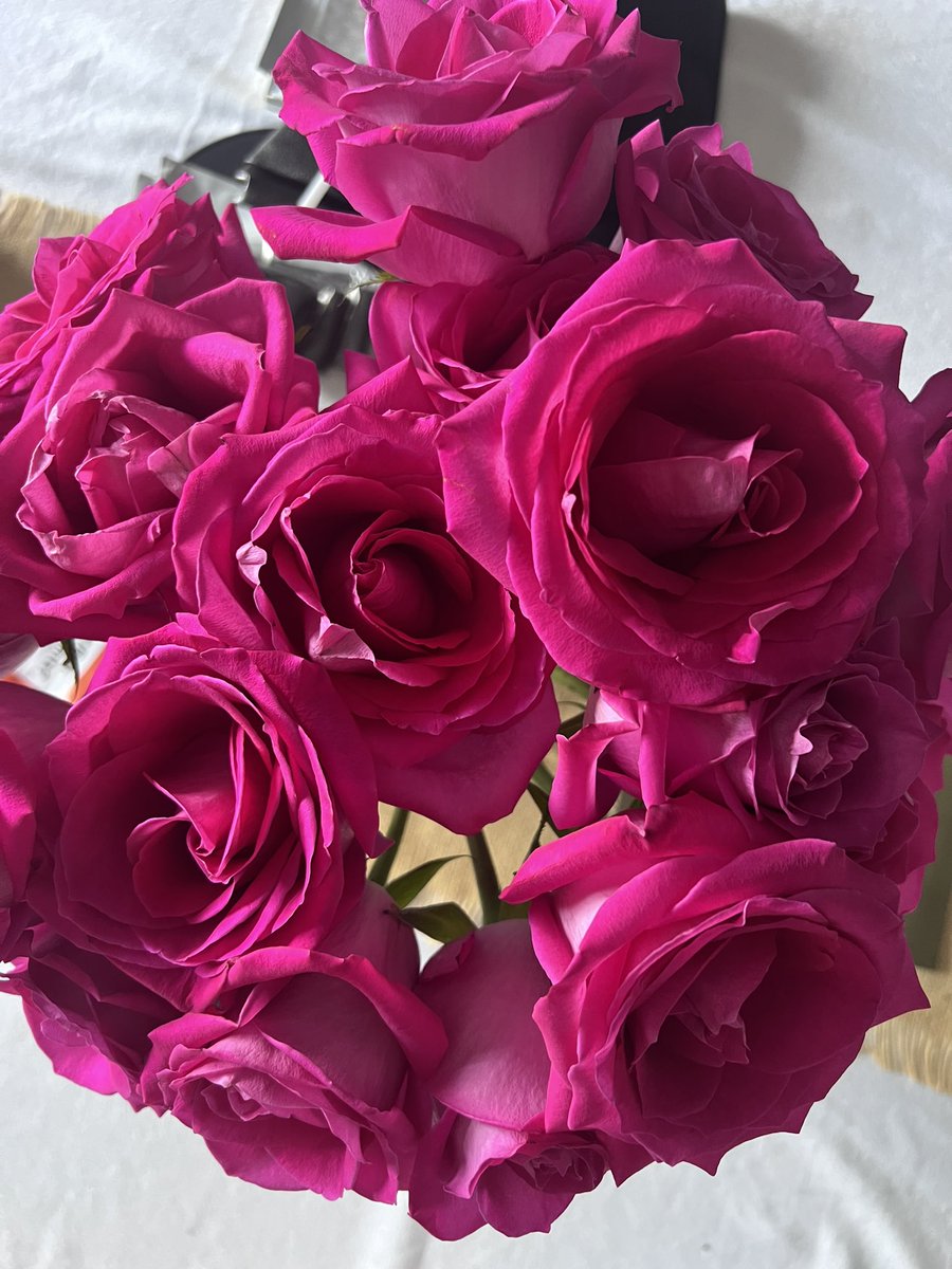 Deep pink Roses…