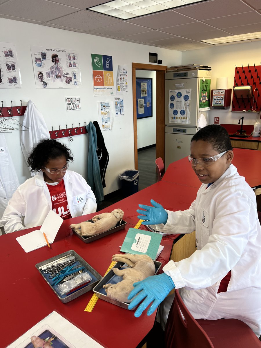 DrAfro71's tweet photo. π οΈβοΈ Technical skills like proper scalpel use are honed during dissections, enhancing students' fine motor skills and precision. #HandsOnLearning #TheCitizenScienceLab https://t.co/ERbYSuXVqx
