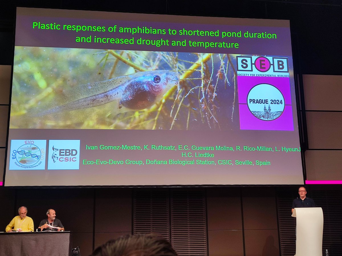 Katharina Ruthsatz tweet media