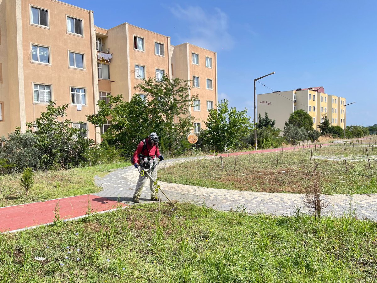 BANDIRMABLD's tweet photo. Yeşil alanlarımızın bakımı için ot biçme çalışmalarımız tüm hızıyla devam ediyor. 🌿

Ekiplerimiz, parklarımızı ve bahçelerimizi daha güzel ve düzenli hale getirmek için özveriyle çalışıyor. Sizlere daha ferah ve sağlıklı çevre sunmak için durmaksızın çalışmaya devam edeceğiz. https://t.co/UpZ0xF3CnP