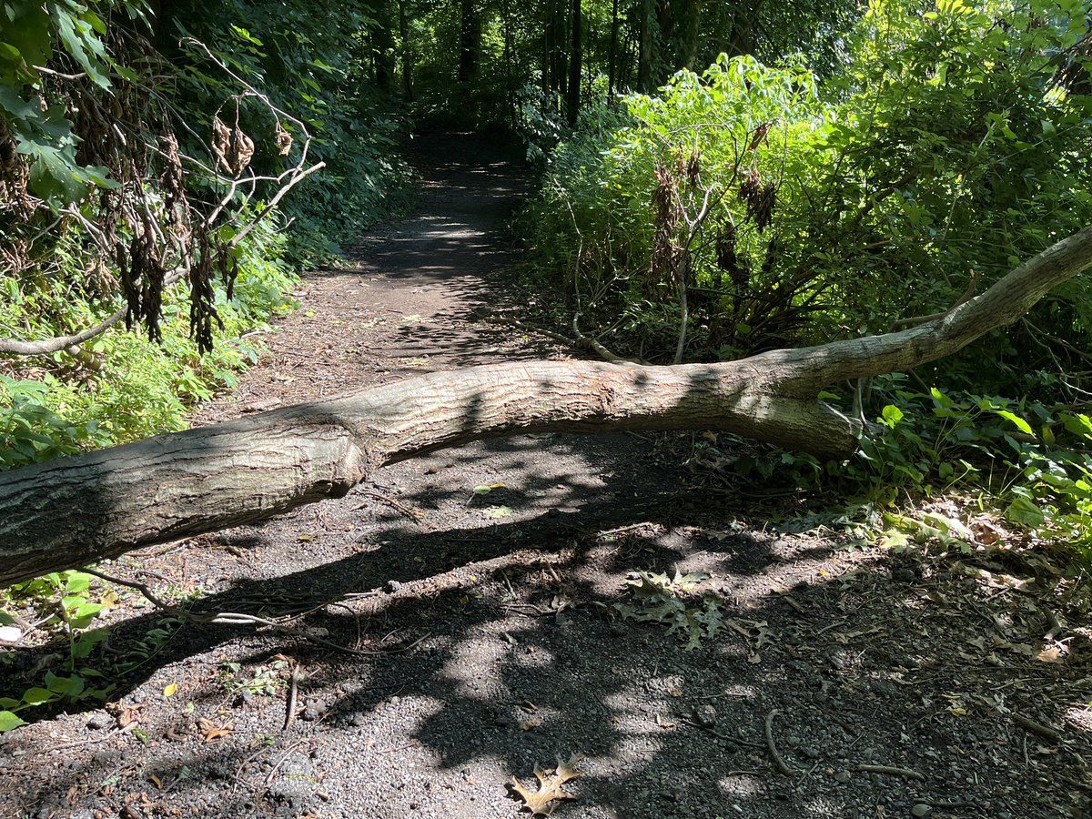 Mark Vergari tweet media