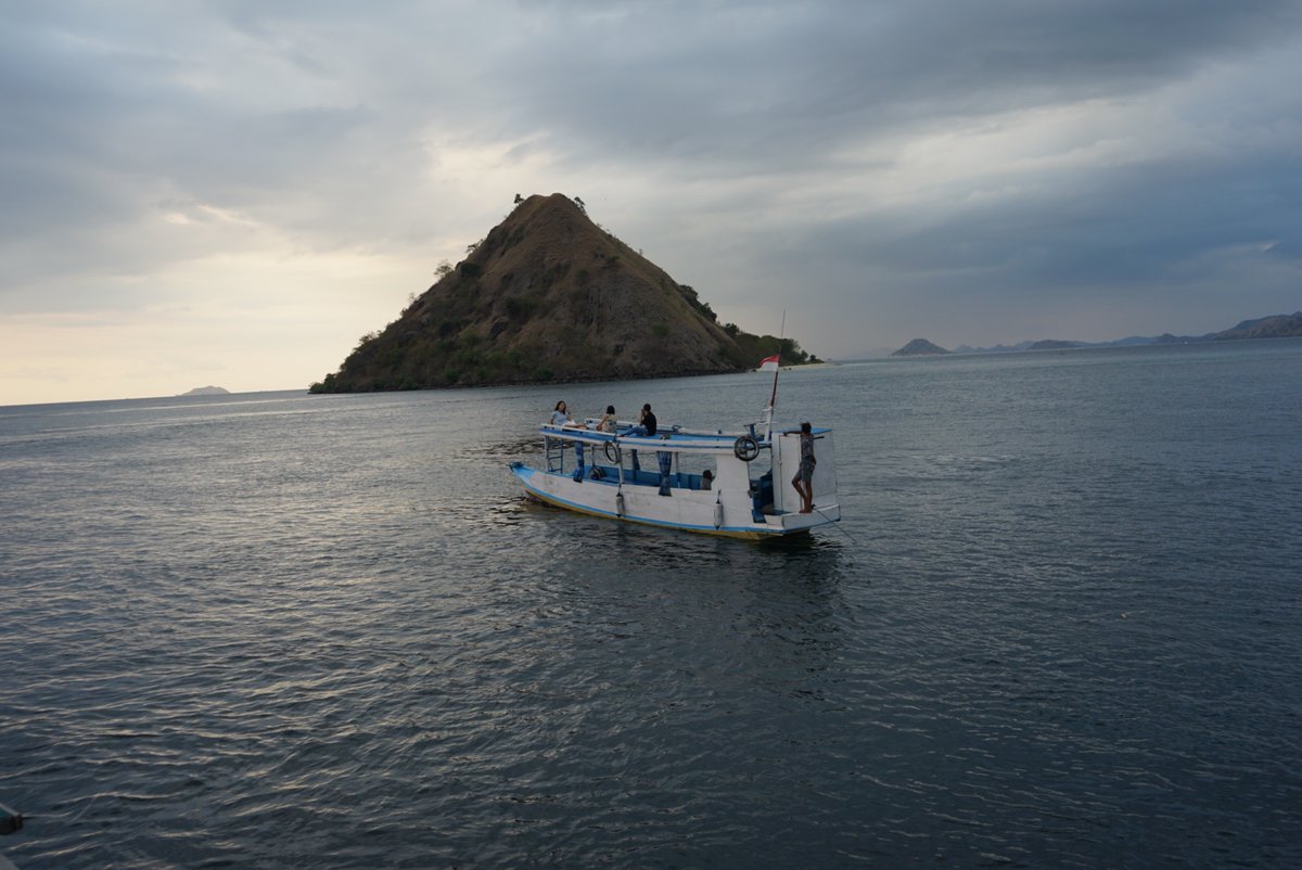 KomodoOneClick's tweet photo. Tours in Labuan Bajo 
.
#labuanbajo #komodo #travel #wonderfulindonesia #malaysia https://t.co/eBqbvm7310