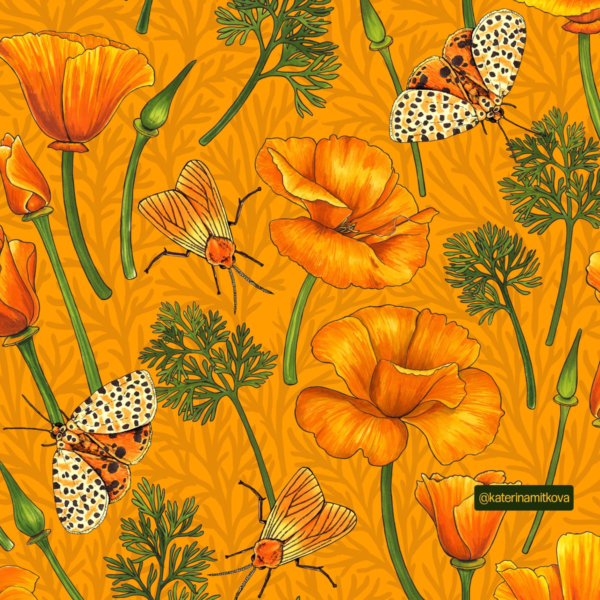 katerinamitkova's tweet photo. California poppies and moths, 9 colorways are available.
 #surfacedesign #patternlicensing #patternlove #aboutpattern #floraldesign #flowerpattern #fabrics #floralpattern #botanicalpattern #ladieswhodraw #surfacedesigners #zazzle #fabricdesign #fabric #surfacepattern https://t.co/bQd9XrUr5K