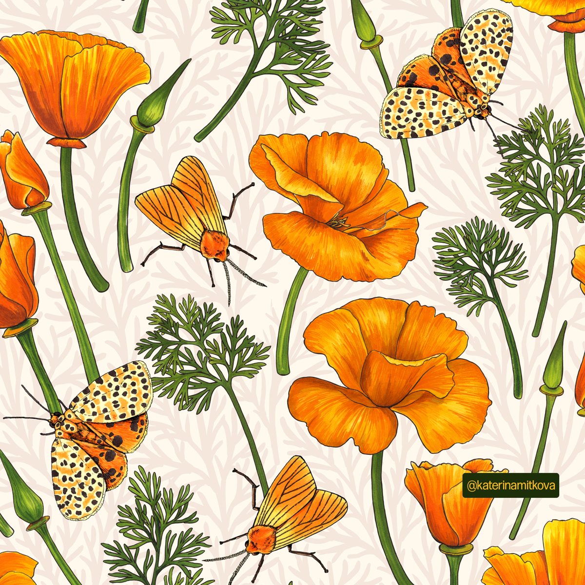 katerinamitkova's tweet photo. California poppies and moths, 9 colorways are available.
 #surfacedesign #patternlicensing #patternlove #aboutpattern #floraldesign #flowerpattern #fabrics #floralpattern #botanicalpattern #ladieswhodraw #surfacedesigners #zazzle #fabricdesign #fabric #surfacepattern https://t.co/bQd9XrUr5K