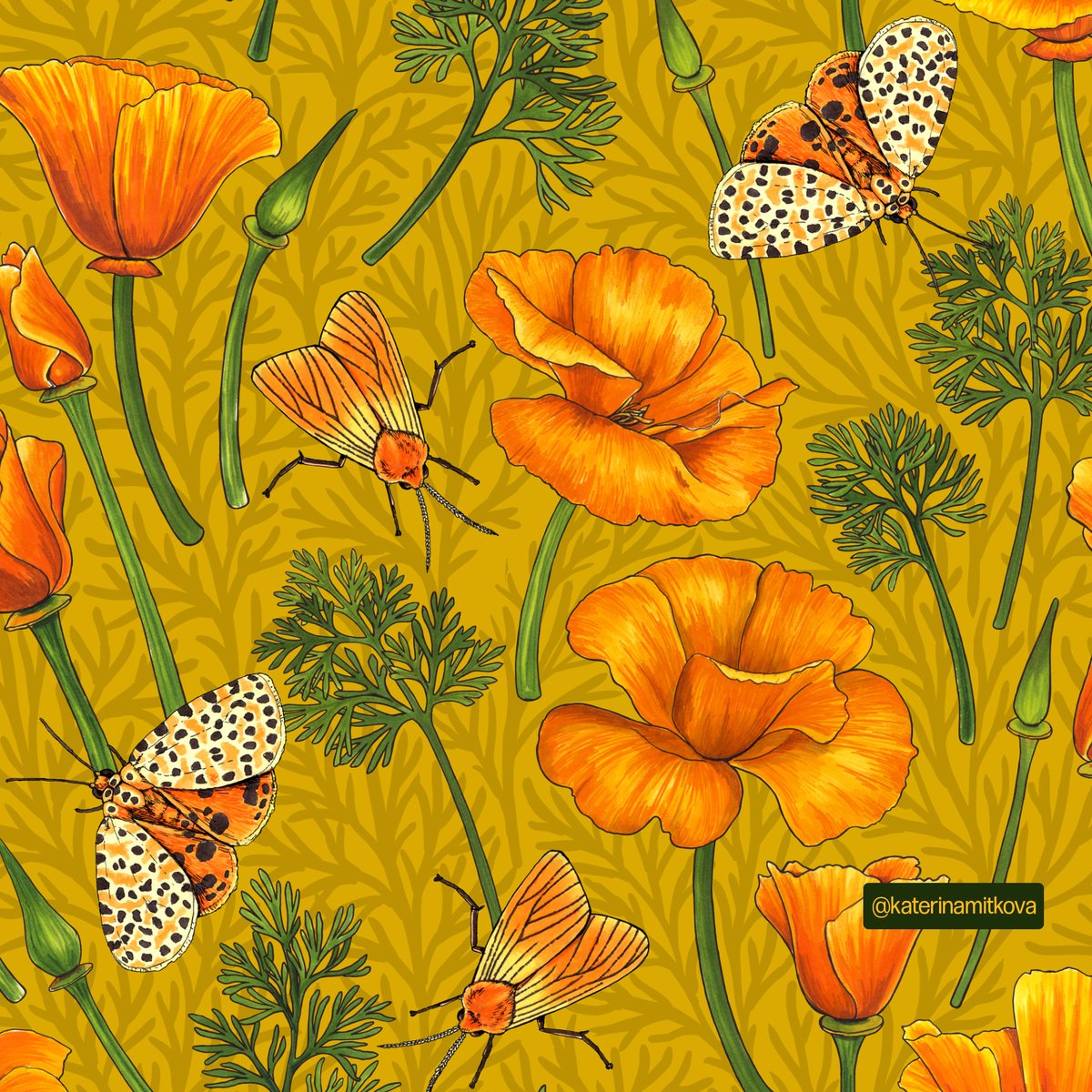 katerinamitkova's tweet photo. California poppies and moths, 9 colorways are available.
 #surfacedesign #patternlicensing #patternlove #aboutpattern #floraldesign #flowerpattern #fabrics #floralpattern #botanicalpattern #ladieswhodraw #surfacedesigners #zazzle #fabricdesign #fabric #surfacepattern https://t.co/bQd9XrUr5K