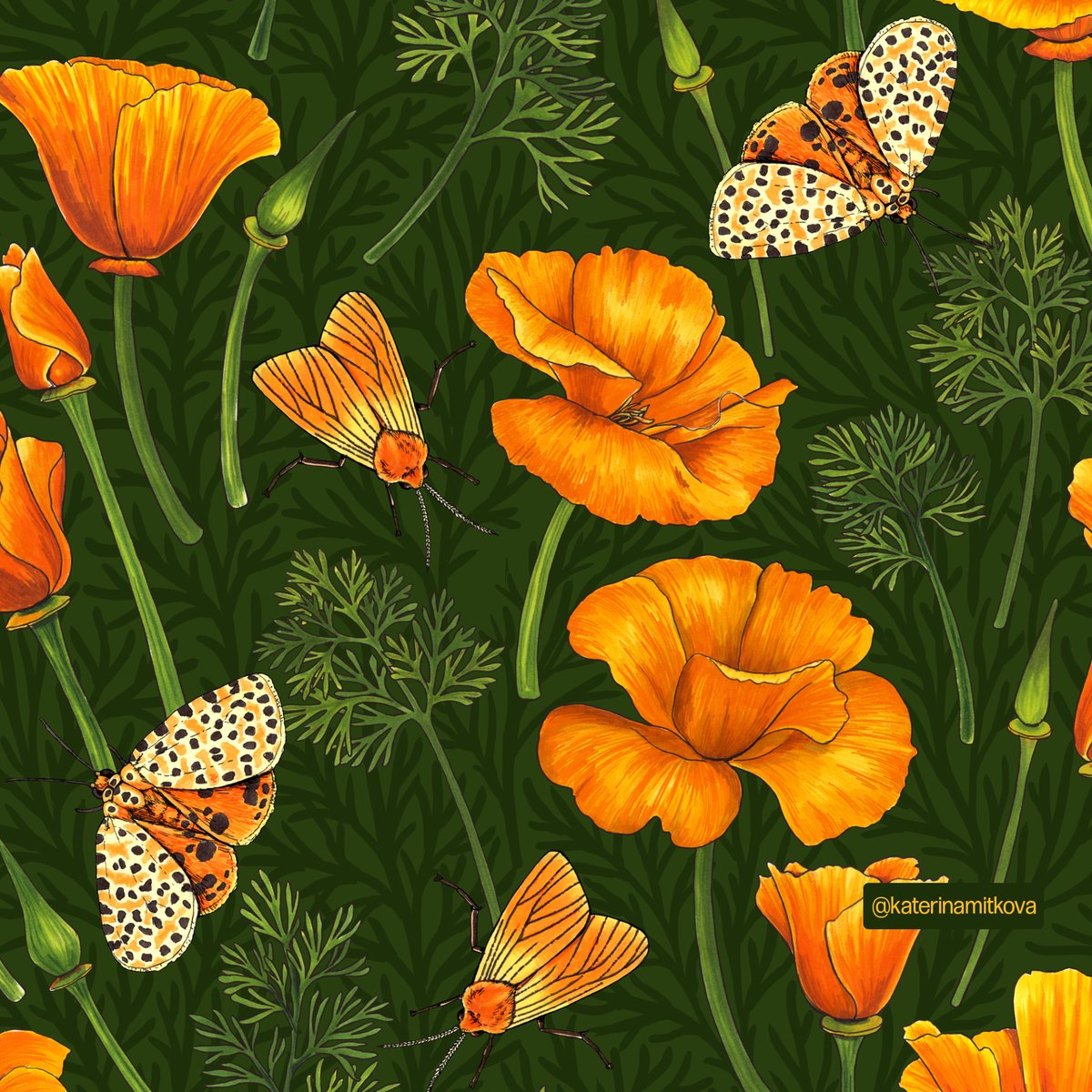 katerinamitkova's tweet photo. California poppies and moths, 9 colorways are available.
 #surfacedesign #patternlicensing #patternlove #aboutpattern #floraldesign #flowerpattern #fabrics #floralpattern #botanicalpattern #ladieswhodraw #surfacedesigners #zazzle #fabricdesign #fabric #surfacepattern https://t.co/bQd9XrUr5K