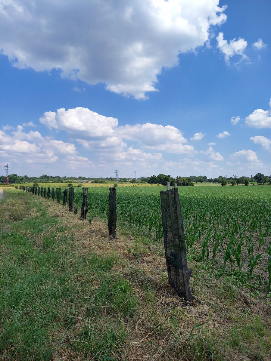 AG sur la thématique de la haie à <a href="/cessonsevigne/">Ville de Cesson-Sévigné</a> 

👉 Table ronde et ateliers qui ont permis des échanges animés et intéressants

🌳 Une belle journée montrant toute la dynamique autour de la Haie avec les acteurs qui participent à son élaboration, sa gestion et sa valorisation !