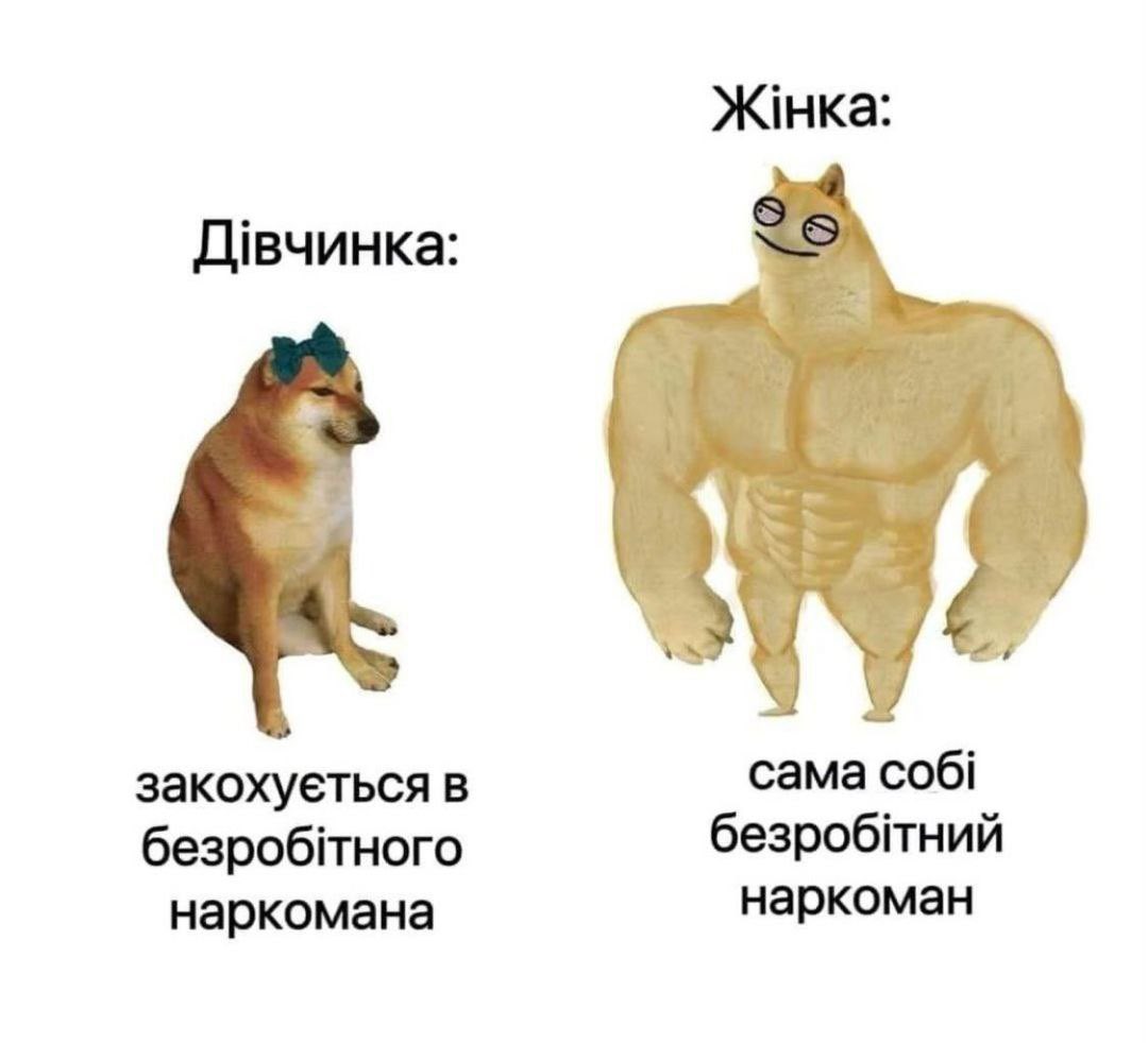 твітор ꑭ марини (@oh_dear_mary) on Twitter photo 