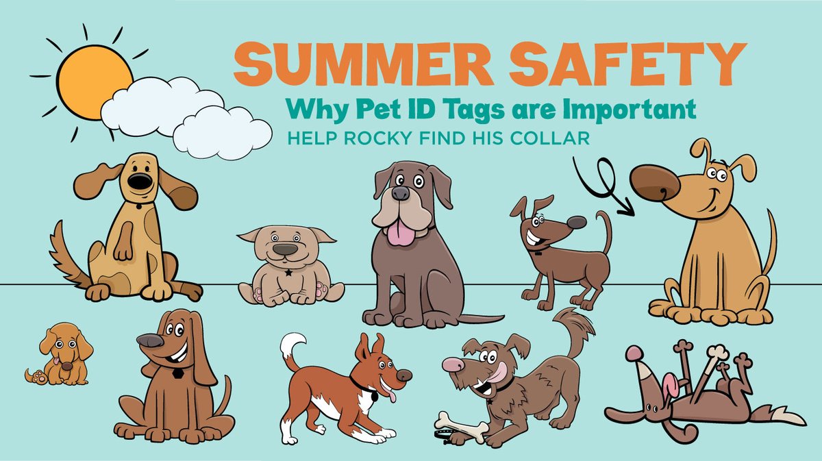 Rocky has lost his collar and needs your help finding it!

Teach your children the importance of ID tags and microchips with our Summer Safety Activity Sheet. Once they're finished, they can color in the animals for extra fun!

Visit vbspca.com/virtual-activi… to get started.