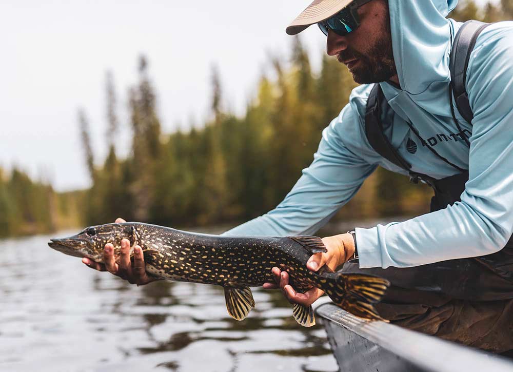 Pack these 7 essentials for your next fly fishing trip for Northern Pike. #algomacountry #DiscoverON bit.ly/461wVep
