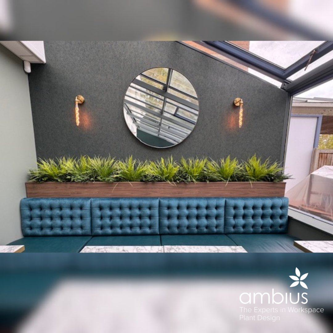 Ambius UK tweet media