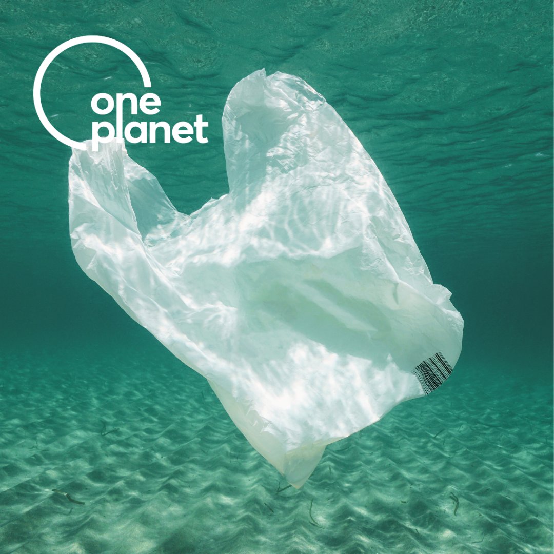 🛍️It’s International Plastic Bag Free Day! Here’s your reminder to bring your own ♻️reusable bag to our shopping centre or you can buy one here too!

#PlasticBagFreeDay #SayNoToPlastic #PlasticPollution #ReusableBag #PlasticBag #Sustainability #OnePlanet