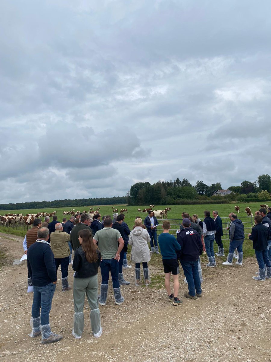 La Coopération Agricole Pôle Animal tweet media