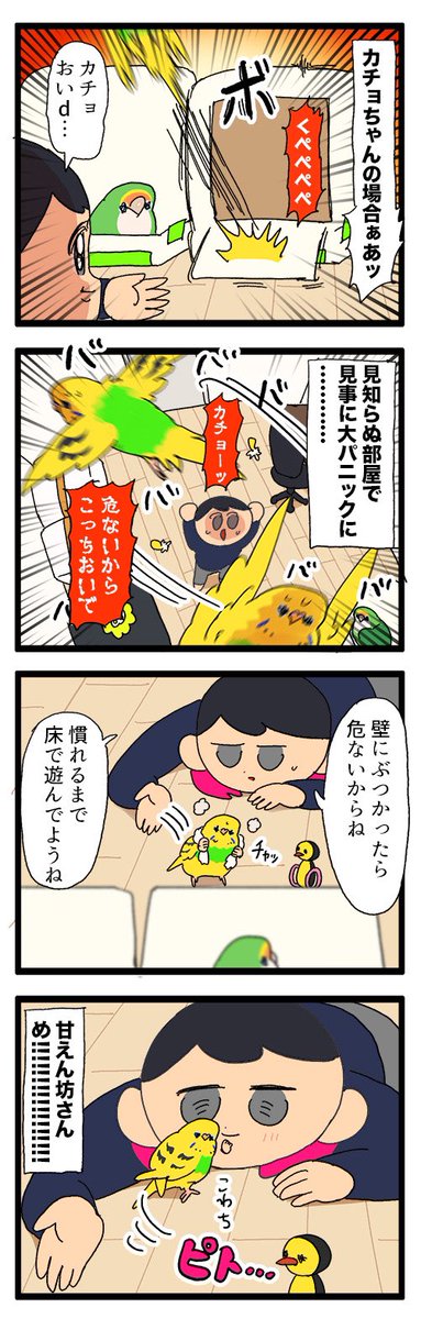 新居にやって来たカチョちゃんの反応🐥

1166 #えるポピの絵日記かくところ 