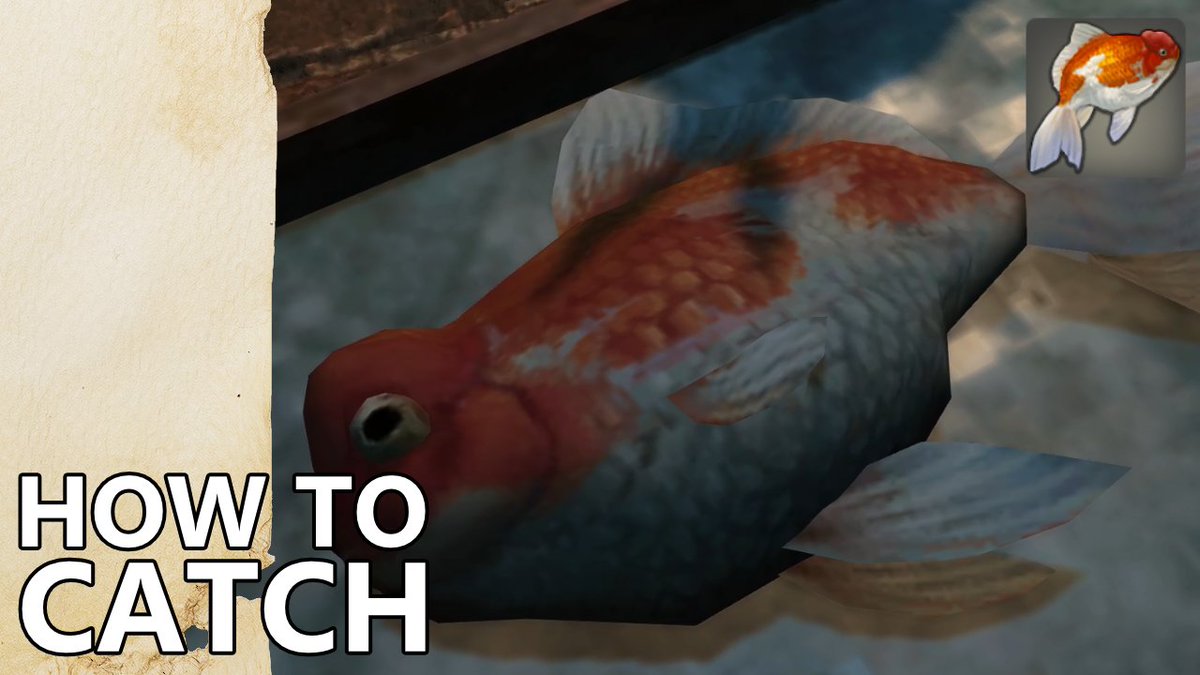 Fruity Snacks🎣 on X: “📢Wachumeqimeqi Lv. 98 Quest Guide! Raging