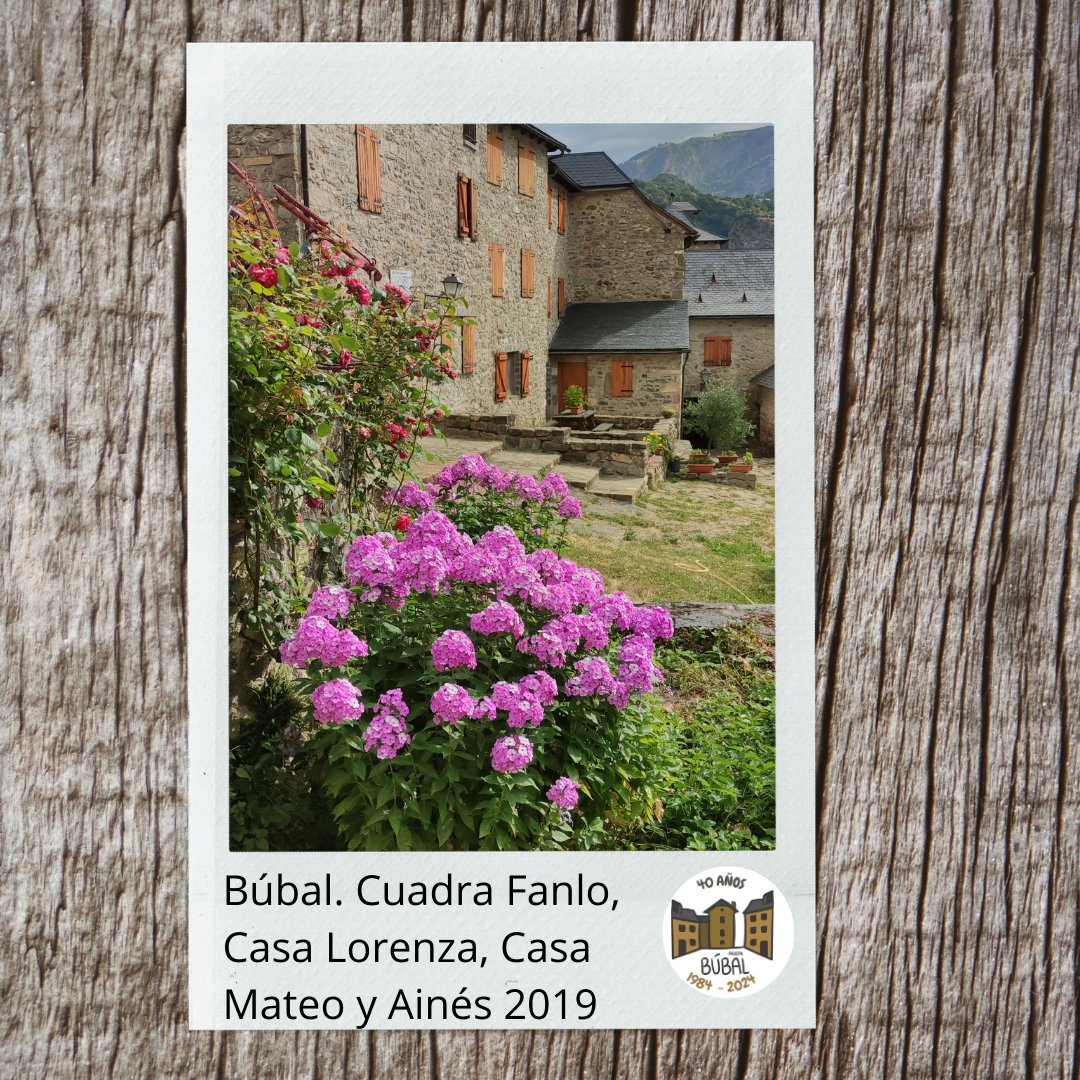 BubalPruepa's tweet photo. REHABILITACIÓN DE BÚBAL
#40añosPRUEPABúbal
#valledetena #pirineoaragonés #comarcaaltogállego #pueblosabandonados #PRUEPA #MEFPD #DGA https://t.co/h3zVler3sI