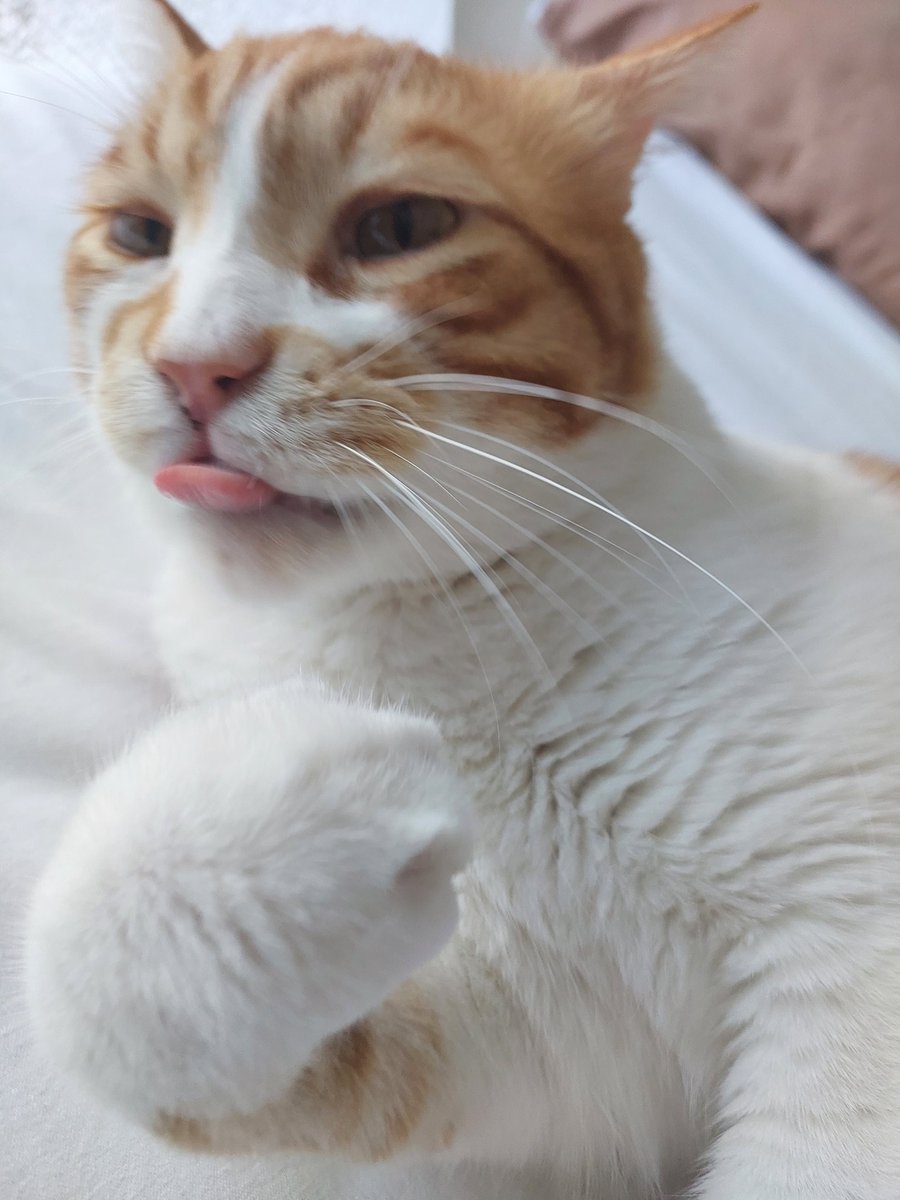 kafamda sadece tek 1 düşünce var..
💫mama💫