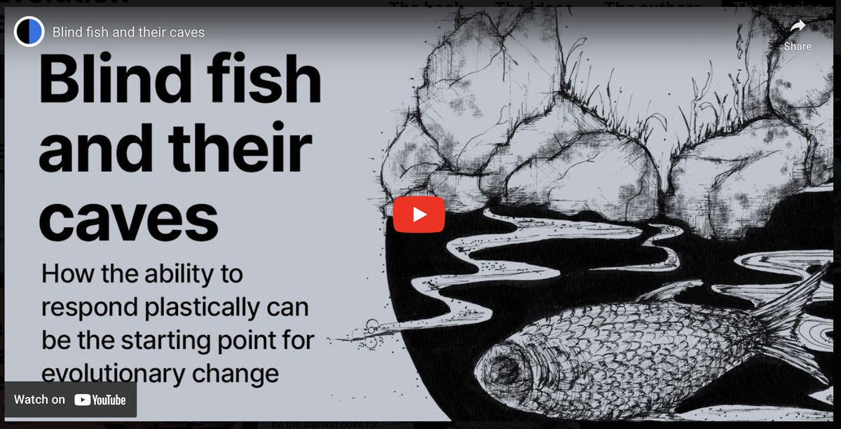 Want to understand how phenotypic plasticity can guide evolution?

Here is another wonderful 5-minute animation from the 'Evolution Evolving' website:
evolutionevolving.org/stories

‘Evolution Evolving: The Developmental Origins of Adaptation and Biodiversity’ is now available to