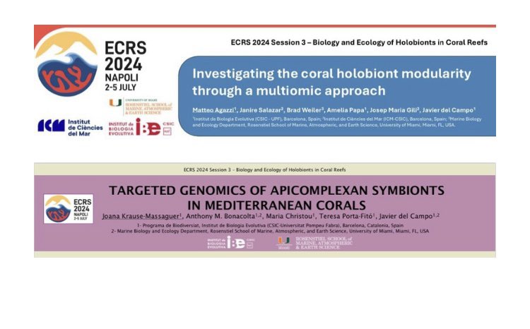 del Campo Lab (@delcampolab) on Twitter photo Lab members <a href="/Matteo__Agazzi/">Matteo Agazzi</a> and <a href="/Joanakrause99/">Joana Krause</a> are presenting a poster with their MSc work today at #ECRS2024 🪸🧬🦠. We will be in poster session 3 from 17:00 to 18:30, come say hi! Lab members <a href="/Matteo__Agazzi/">Matteo Agazzi</a> and <a href="/Joanakrause99/">Joana Krause</a> are presenting a poster with their MSc work today at #ECRS2024 🪸🧬🦠. We will be in poster session 3 from 17:00 to 18:30, come say hi!