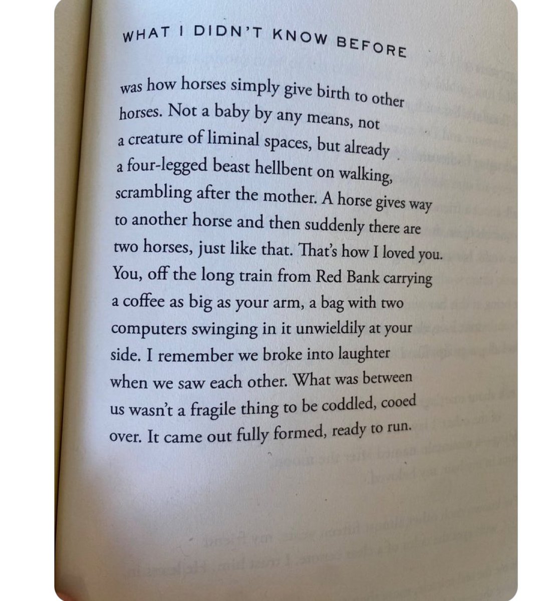 bloodsigns's tweet image. And if I’m on my horse kick with poems you know I can’t leave out Ada Limón 🐎