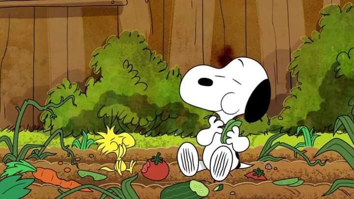 snoopyfanbase's tweet photo. snoopy &amp; woodstock image of the day https://t.co/4Rp4hNpdNQ