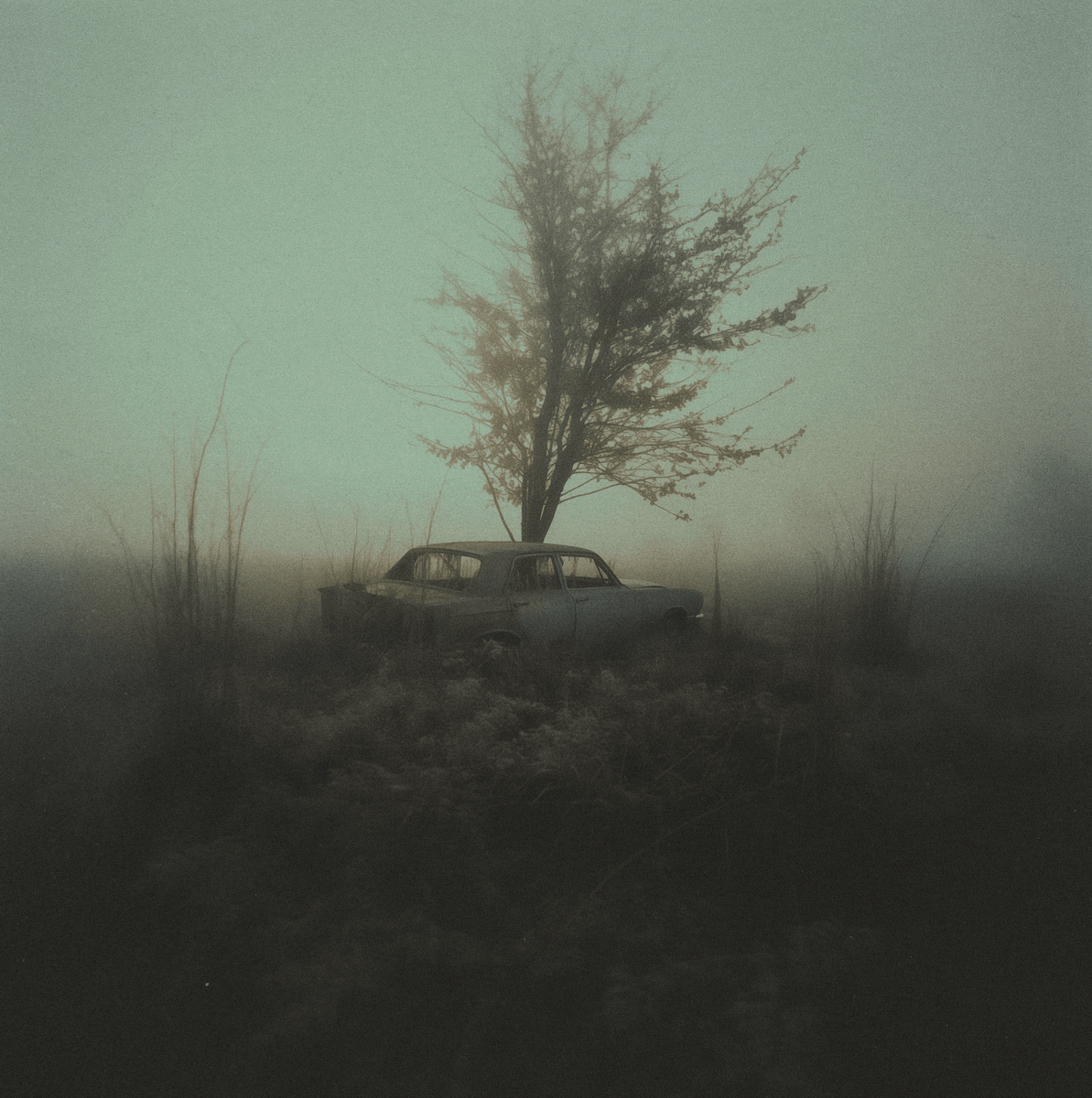 Celo's tweet photo. "Those Silent Witnesses" by @andres_tbh is now live!

The latest Celosphere Summer collection explores a world without humans in 4 parts: "Love", "Blooming Thorn", "Selected Dream Recollections No. 29" &amp; "Journey Concludes" 🥀

🌞 Mint yours today! ↓
https://t.co/H6XFnIlkqs https://t.co/Go8IbTB3vz