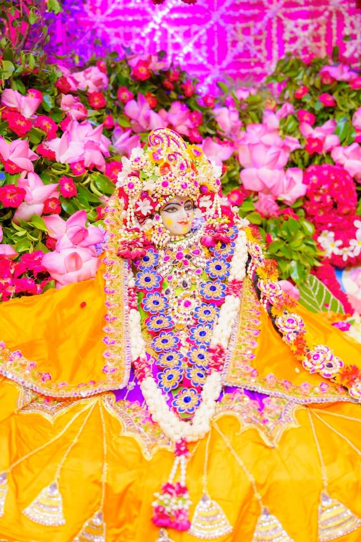 श्री हित सजनी जू