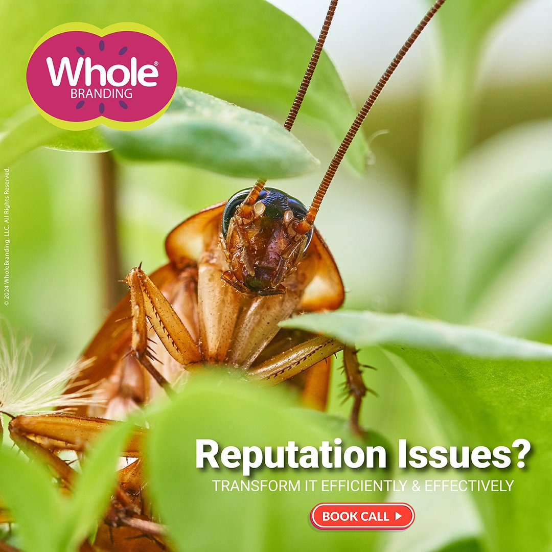 Like the resilient cockroach, your brand can bounce back from any negative narrative.

Benefit from Our Services:
-Reinforce Credibility
-Attract Talented Employees
-Build Trust
-Client Retention
-Boost Sales
-Increase Visibility

Book Your Discovery Call
booknow.wholebranding.com/#/discoverycall