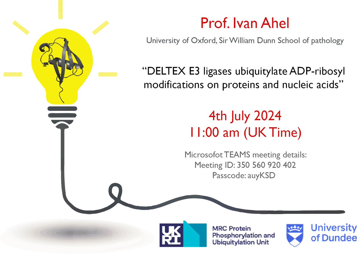 Join us TODAY at 11am on Teams for Prof. Ivan Ahel's online seminar: "DELTEX E3 ligases ubiquitylate ADP-ribosyl modifications on proteins and nucleic acids." #Ubiquitination #SeminarSeries