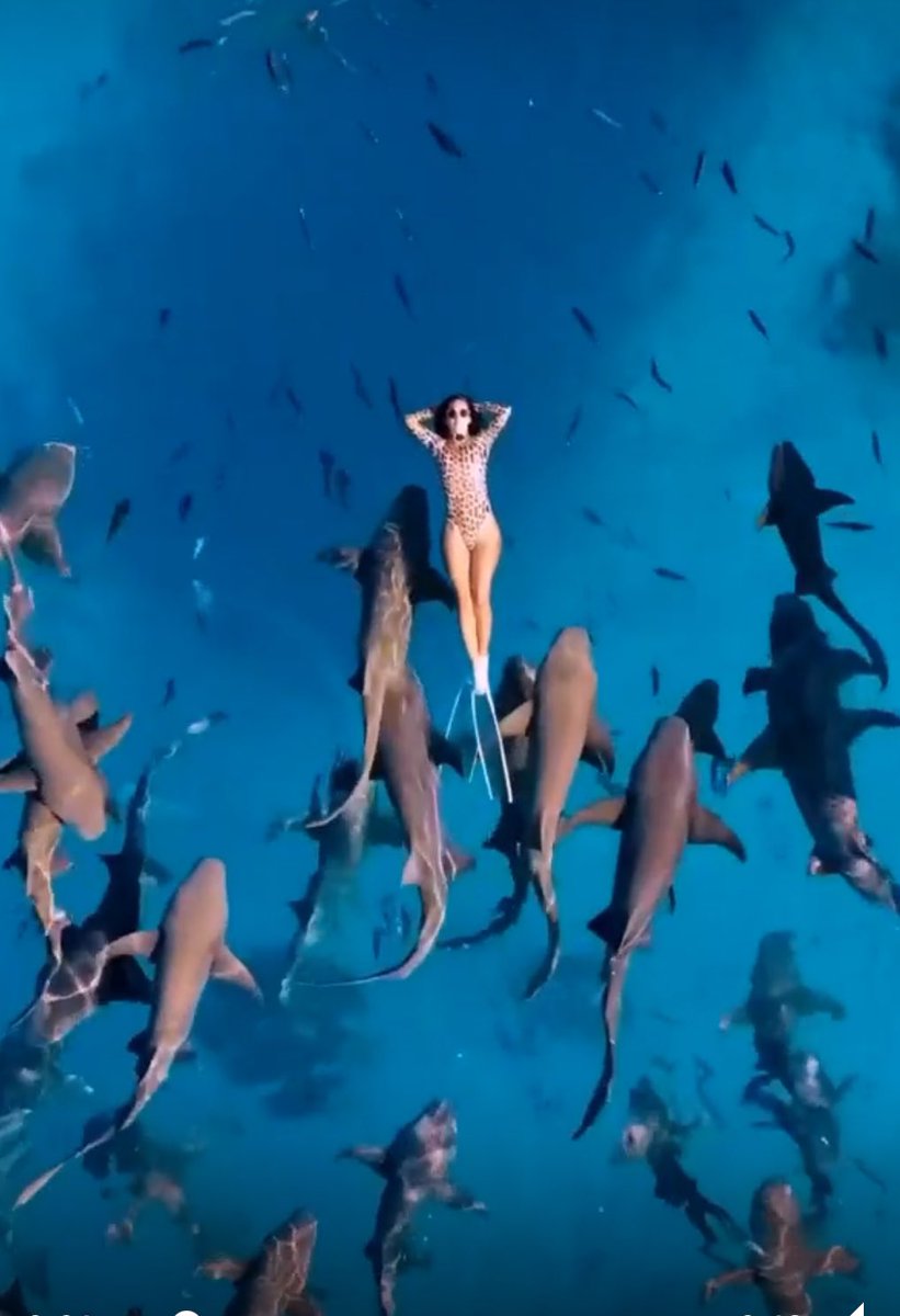 Murat Aydın (@mrdyn342) on Twitter photo 