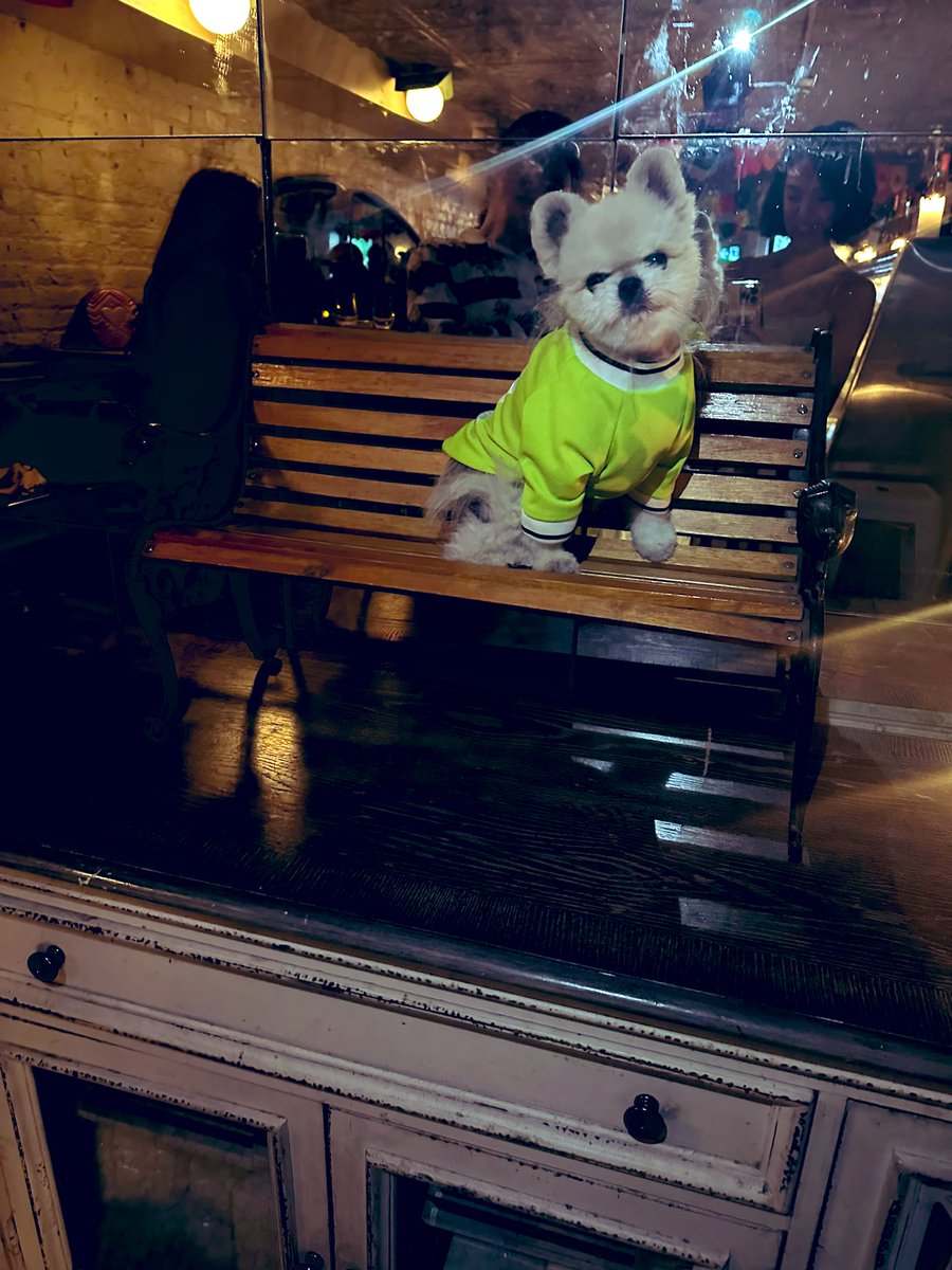 Good morning from Paul 💚 
(I keep forgetting X exists…do we call it X now? Or is it still Twitter..?)