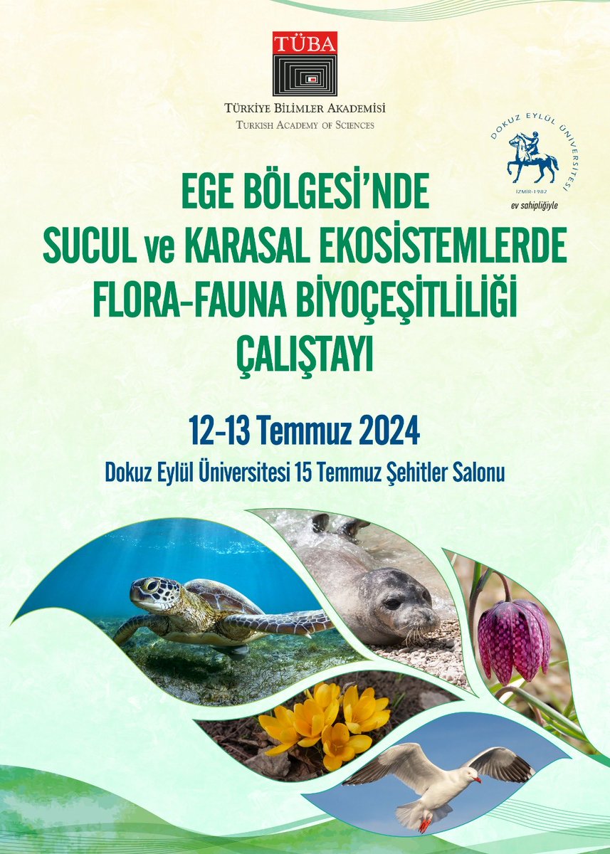 Guleda Engin tweet media