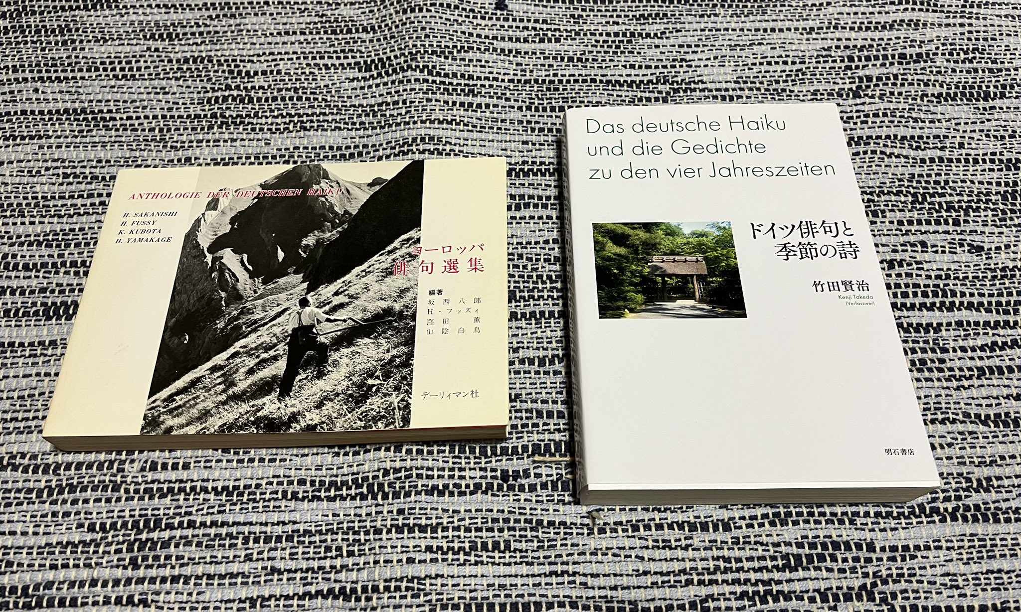 DEUTSCHE 芳ばしい ドイツ詩集 DAS GEDICHT DEUTSCHE 芳ばしい ドイツ詩集 DAS GEDICHT