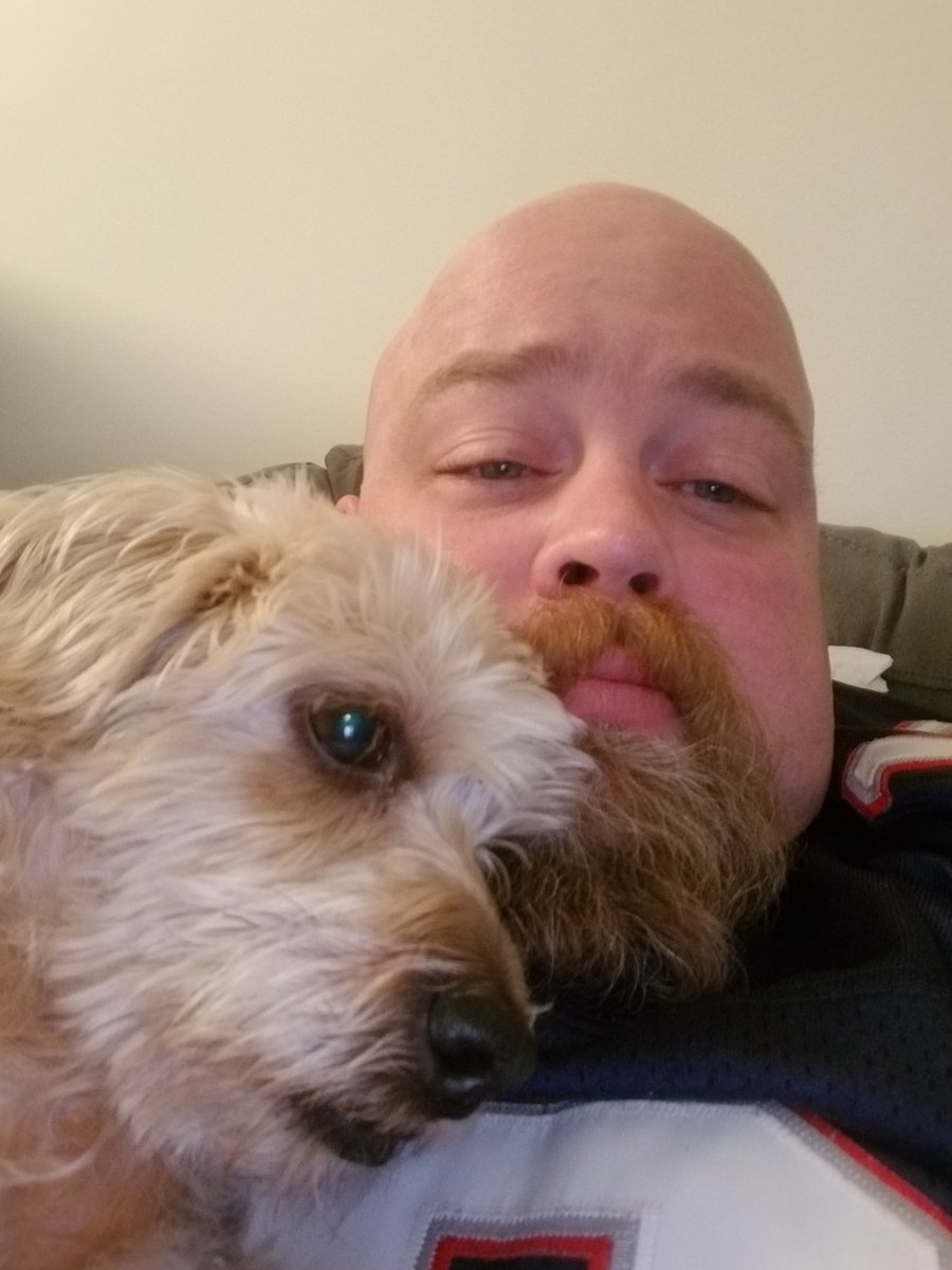 drewkitchen1's tweet photo. @DogLovers03 11 days gone now, still miss my boy Bruce https://t.co/si7udlIkFh