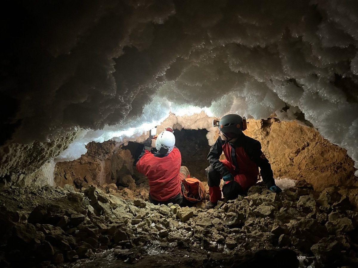 Ola Kwiecien tweet media