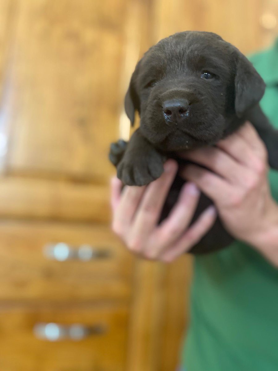 Maria Mazzitelli tweet media