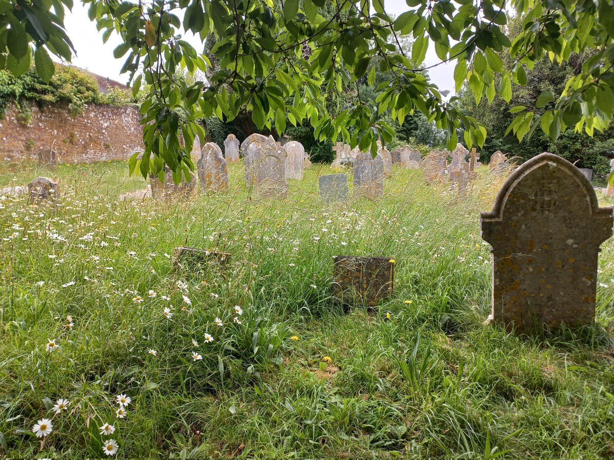 Catherine Clarke tweet media