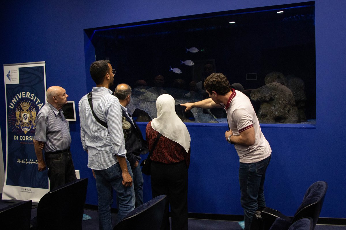 Stella Mare - Università di Corsica/CNRS tweet media