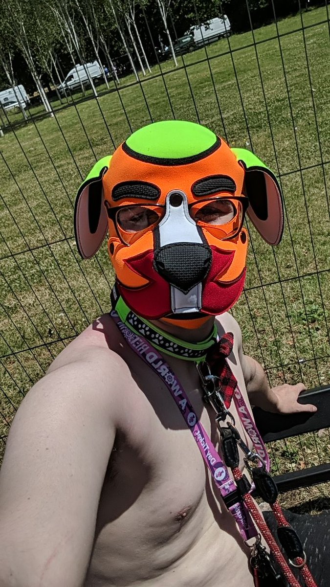 Pup Fledo tweet media