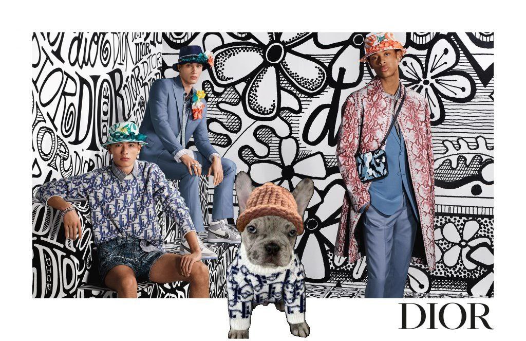 Dior_BestFriend's tweet photo. @ReesGangCrypto @GodsBurnt @diordogcto $DIOR Doggo to the moon https://t.co/NM1x4FHaPc