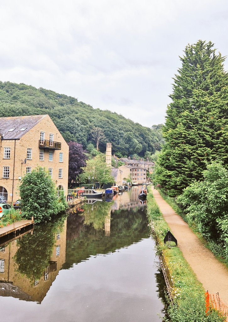 Dr Jo Clement tweet media