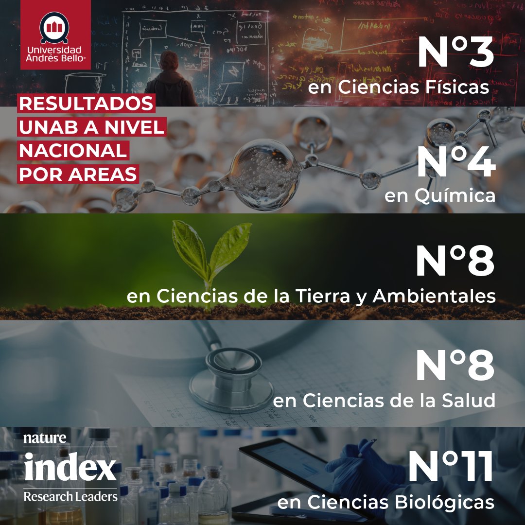 uandresbello's tweet image. #OrgulloUNAB | Ranking Nature Index 2024: la @uandresbello se ubica como la 4ta universidad de Chile y 14° de Sudamérica. 

Esta prestigiosa medición evalúa la producción científica de instituciones de todo el mundo sobre la base de artículos publicados en 145 revistas…