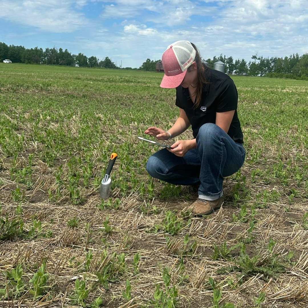 CO-OP AGRO tweet media