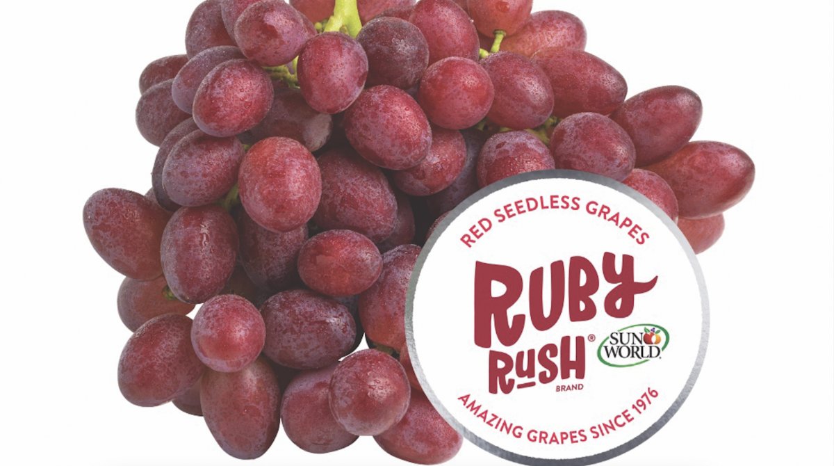 eurofruit's tweet photo. By leveraging its proprietary varieties through the creation of global consumer brands, Sun World is bringing some much-needed excitement to the table grape category. Read more on this in Fresh Focus Grape, out now. Subscribe to Fruitnet https://t.co/CpBp4WVQi5 #FreshFocus https://t.co/bedRiHM2hp