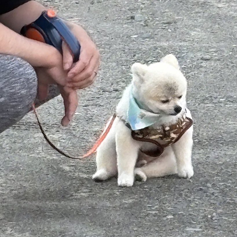 mcwolfgliby's tweet image. ต่อไปนี้นะ จะไม่ยุ่งเลย ถ้าหากมันทำให้เธอต้องกลุ้มใจ ต่อไปนี้นะ จะไม่วุ่นวาย จะไม่มารบกวนหัวใจ ไม่มาให้เห็นเลย