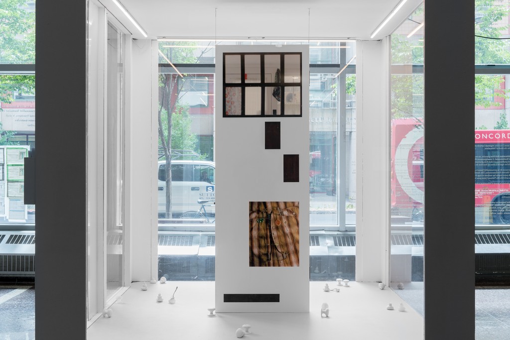 SIGHTINGS 41⁠
⁠
PIEDS FROIDS, MAINS PARLANTES⁠
⁠
Jusqu'au 15 sept. 2024⁠
⁠
Un projet de B. Brookbank⁠
__________
⁠
COLD FEET TALK LIKE HANDS⁠
⁠
Until Sept. 15, 2024⁠
⁠
A project by B. Brookbank⁠
⁠
Photo: J-M Seminaro 

 #binaellen #binaellengallery #contemporaryart