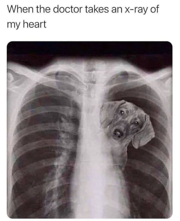 Dalbodog's tweet image. 