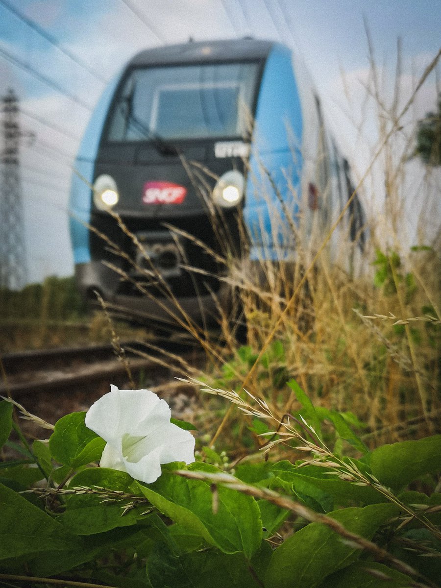 Le temps d'un arrêt circulation sur une marche Vide Voyageur et avant la mise à quai à Meaux, petite séance d'exercice en plein air pour réactiver son attention, lutter contre les signes de la fatigue et séance photo pour allier l'utile a l'agréable.